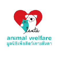 Thailand-Animal-Rescue---Lanta-Animal-Welfare