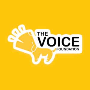The Voice Foundation